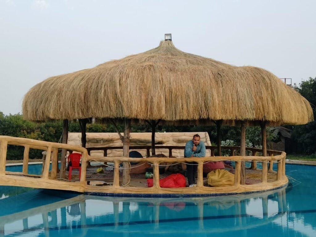 برجولة قش افريقي